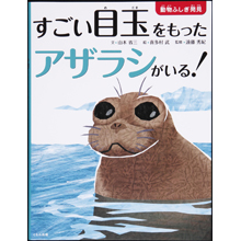 すごい目玉を持ったアザラシがいる! すごい目玉を持ったアザラシがいる!