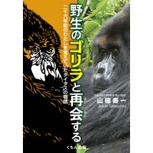 野生のゴリラと再会する 野生のゴリラと再会する