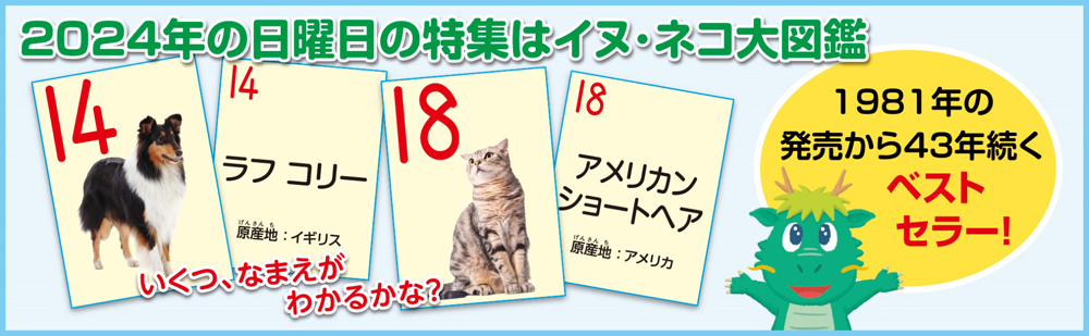 くもんなぜなぜカレンダー2024年版 | 文具・ポスター・なぜなぜ