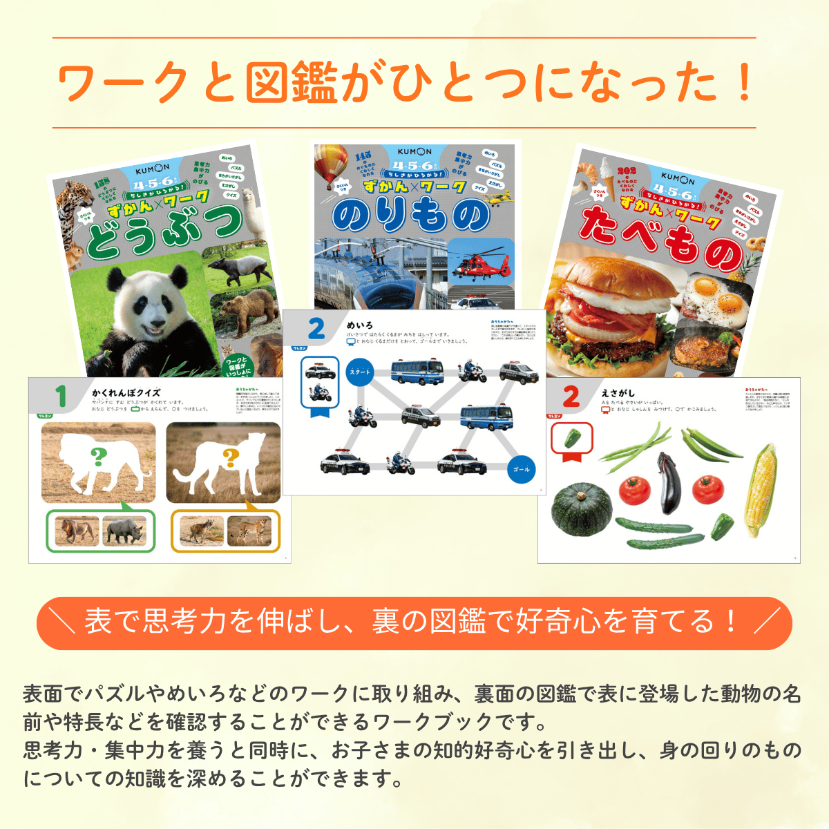 ずかんワーク シリーズ紹介